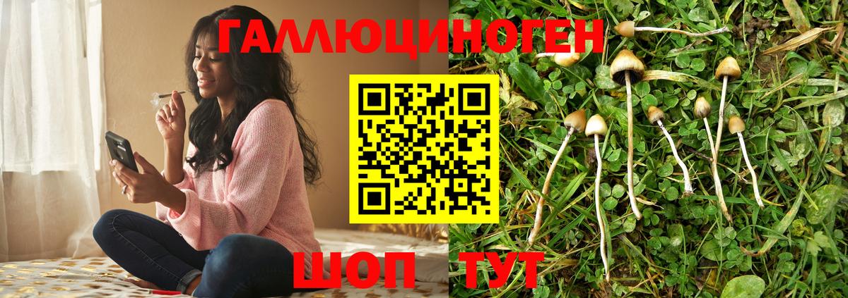 Галлюциногенные грибы мицелий Губаха